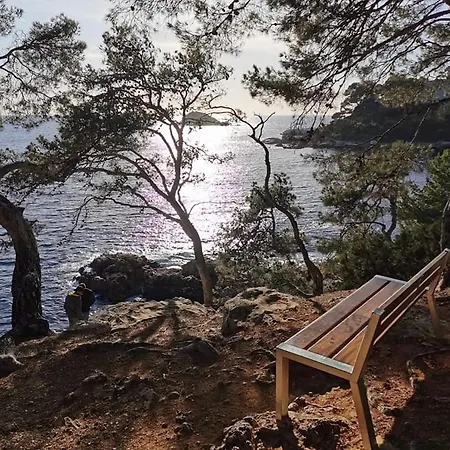 La Terrasse Bandolaise A Pied, Wifi, Clim, Parking Lejlighed Bandol